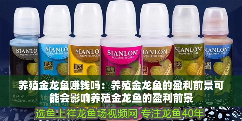 養殖金龍魚賺錢嗎：養殖金龍魚的盈利前景可能會影響養殖金龍魚的盈利前景