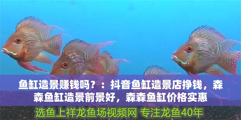 魚缸造景賺錢嗎？：抖音魚缸造景店掙錢，森森魚缸造景前景好，森森魚缸價(jià)格實(shí)惠