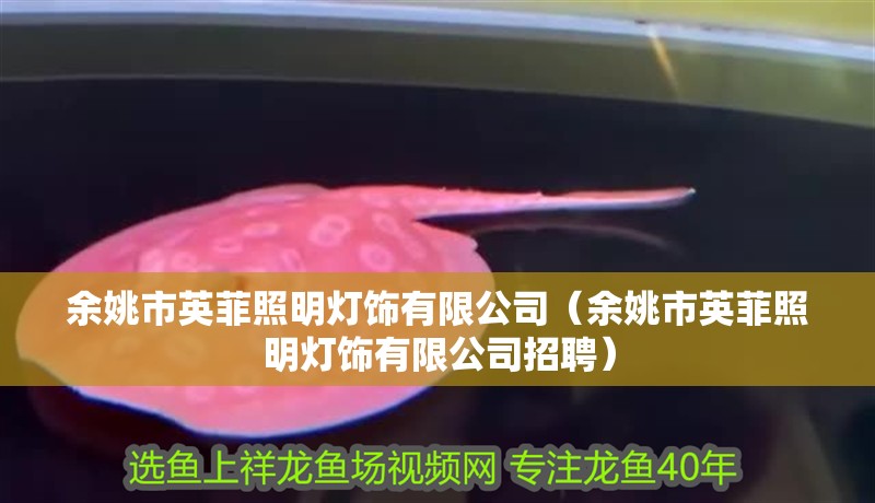 余姚市英菲照明燈飾有限公司（余姚市英菲照明燈飾有限公司招聘）