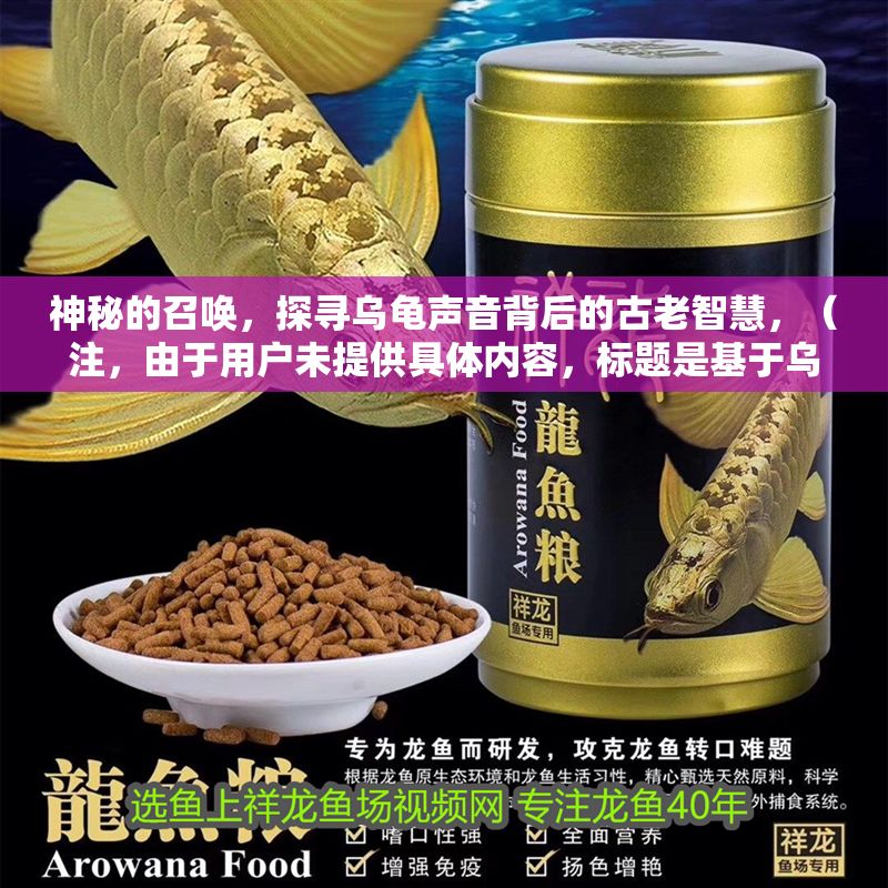 神秘的召喚，探尋烏龜聲音背后的古老智慧，（注，由于用戶未提供具體內(nèi)容，標(biāo)題是基于烏龜聲音這一關(guān)鍵詞的創(chuàng)意聯(lián)想生成）
