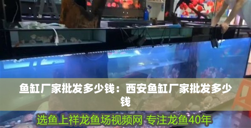 魚(yú)缸廠家批發(fā)多少錢(qián)：<strong><mark>西安</mark></strong>魚(yú)缸廠家批發(fā)多少錢(qián)