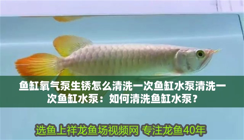 魚缸氧氣泵生銹怎么清洗一次魚缸水泵清洗一次魚缸水泵：如何清洗魚缸水泵？