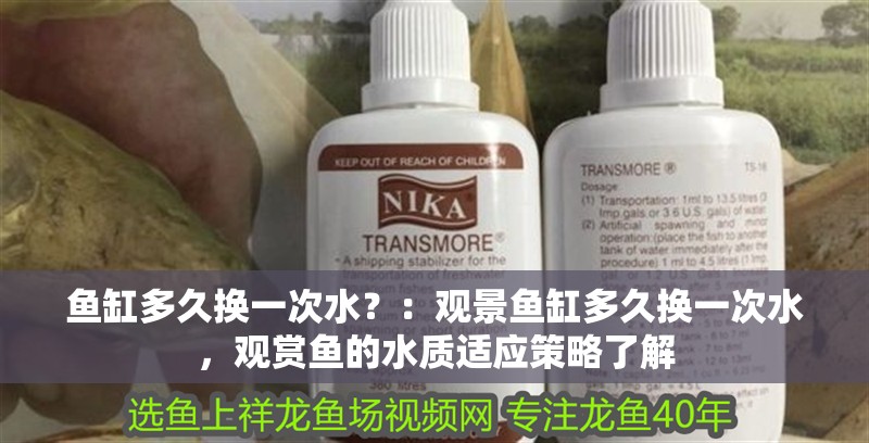 魚缸多久換一次水？：觀景魚缸多久換一次水，觀賞魚的水質(zhì)適應(yīng)策略了解 魚缸多久換一次水？：觀景魚缸多久換一次水，觀賞魚的水質(zhì)適應(yīng)策略了解 魚缸百科