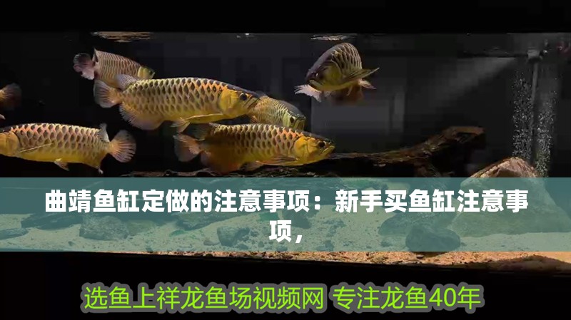 曲靖魚缸定做的注意事項：新手買魚缸注意事項，