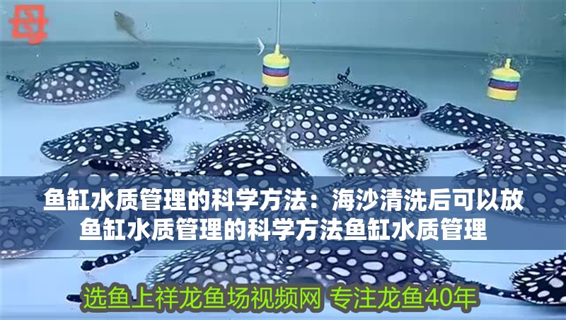 魚(yú)缸水質(zhì)管理的科學(xué)方法：海沙清洗后可以放魚(yú)缸水質(zhì)管理的科學(xué)方法魚(yú)缸水質(zhì)管理