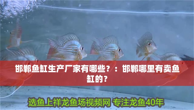 邯鄲魚缸生產廠家有哪些？：邯鄲哪里有賣魚缸的？
