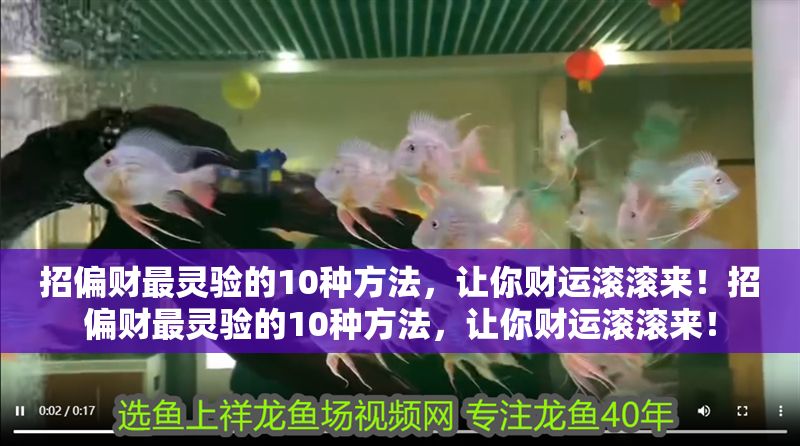 招偏財最靈驗的10種方法，讓你財運滾滾來！招偏財最靈驗的10種方法，讓你財運滾滾來！