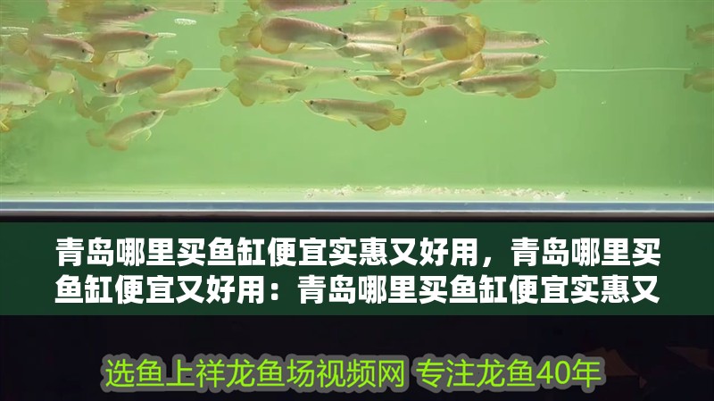 青島哪里買魚(yú)缸便宜實(shí)惠又好用，青島哪里買魚(yú)缸便宜又好用：青島哪里買魚(yú)缸便宜實(shí)惠又好用