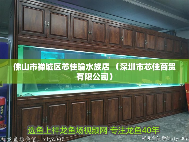 佛山市禪城區(qū)芯佳瑜水族店 （深圳市芯佳商貿(mào)有限公司）