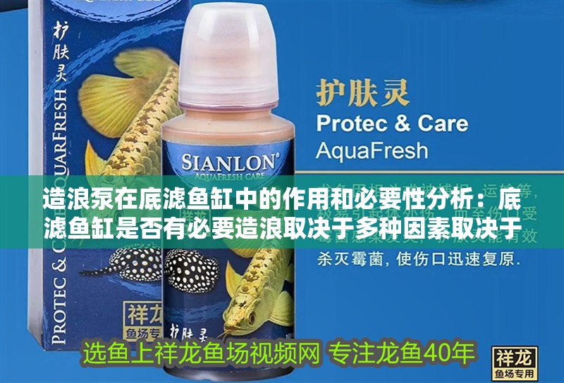 造浪泵在底濾魚缸中的作用和必要性分析：底濾魚缸是否有必要造浪取決于多種因素取決于多種因素