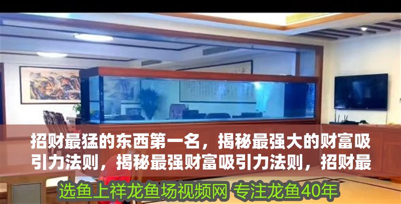 招財最猛的東西第一名，揭秘最強大的財富吸引力法則，揭秘最強財富吸引力法則，招財最猛的終極秘訣