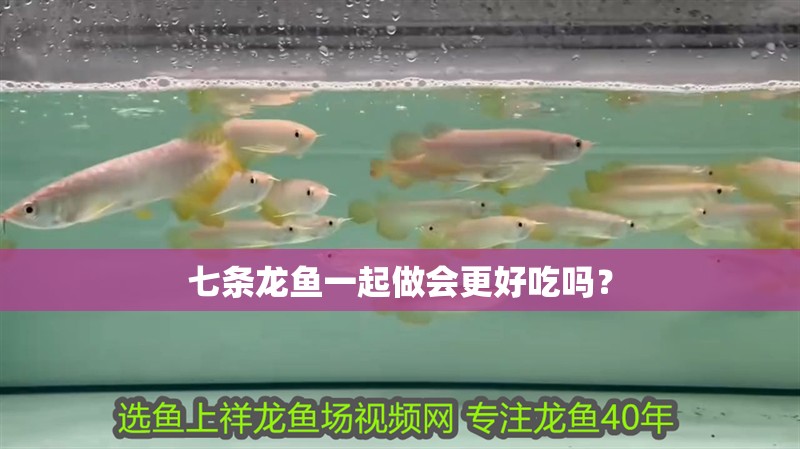 七條龍魚一起做會更好吃嗎？