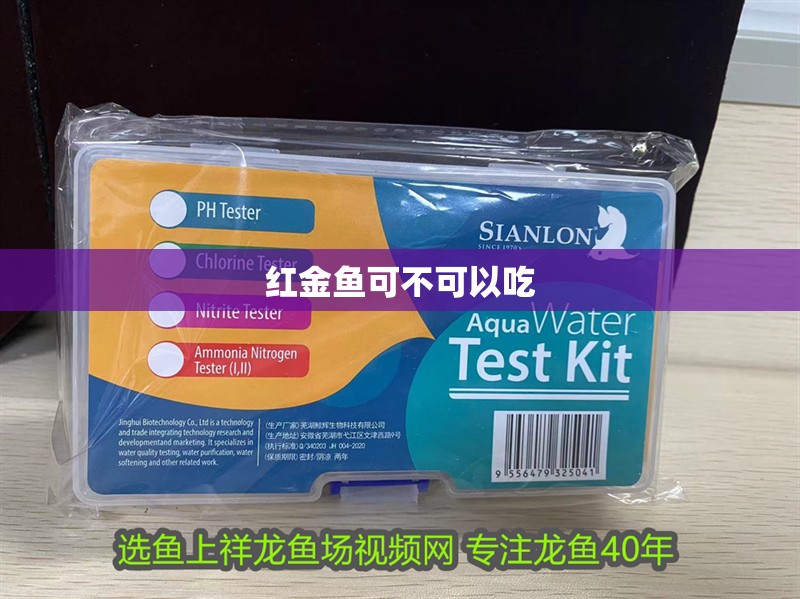 紅金魚可不可以吃