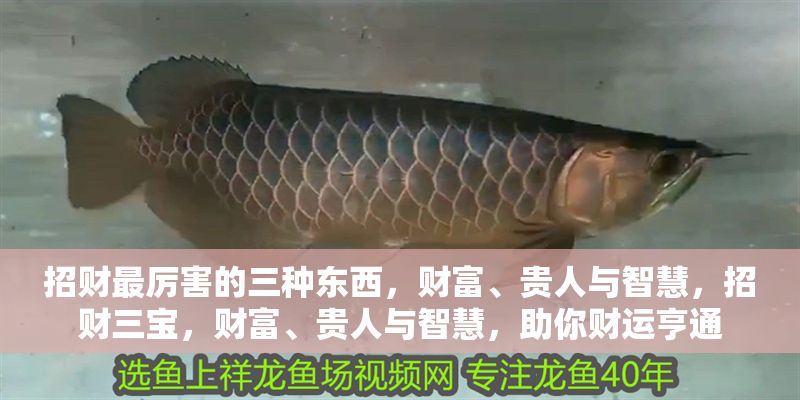 招財最厲害的三種東西，財富、貴人與智慧，招財三寶，財富、貴人與智慧，助你財運亨通