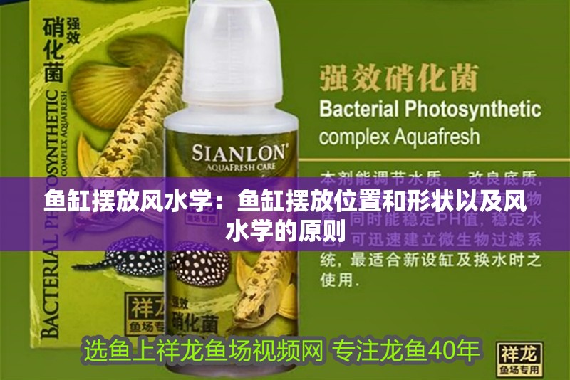 魚缸擺放風水學：魚缸擺放位置和形狀以及風水學的原則