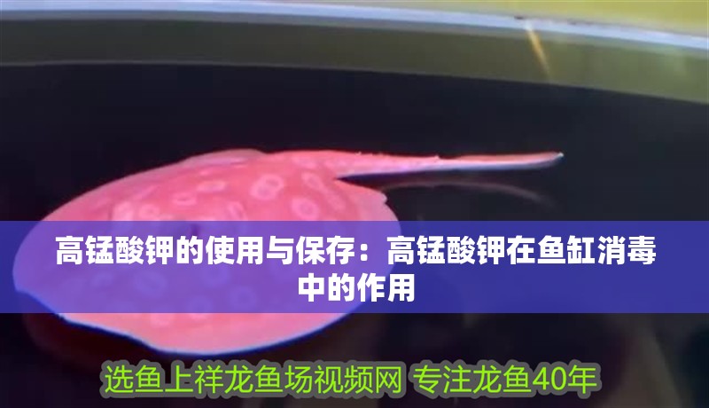 高錳酸鉀的使用與保存：高錳酸鉀在魚缸消毒中的作用