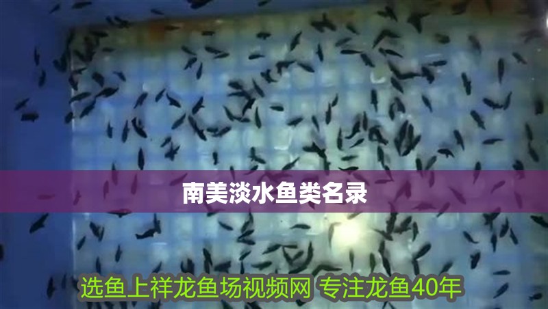 南美淡水魚類名錄