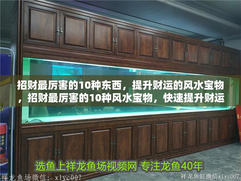 招財最厲害的10種東西，提升財運的風水寶物，招財最厲害的10種風水寶物，快速提升財運！
