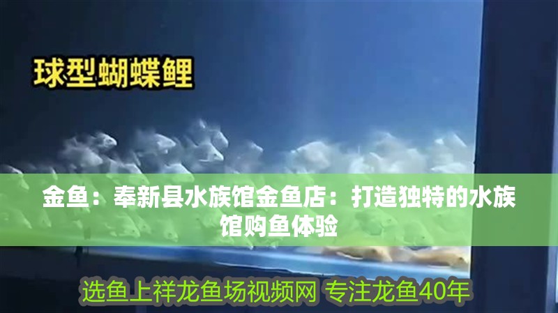 金魚：奉新縣水族館金魚店：打造獨特的水族館購魚體驗