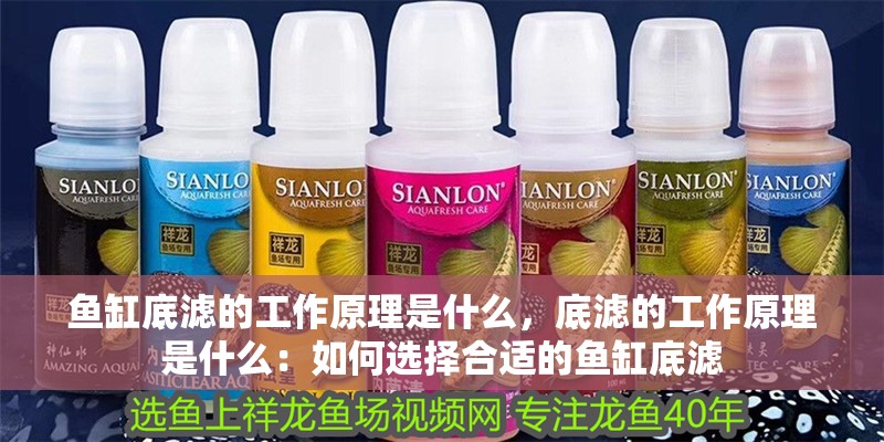 魚缸底濾的工作原理是什么，底濾的工作原理是什么：如何選擇合適的魚缸底濾