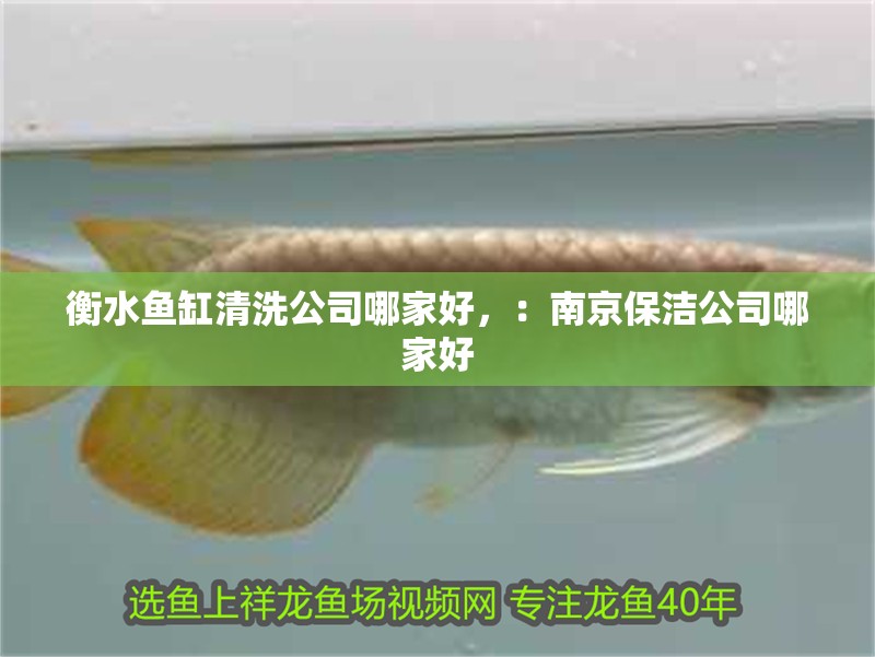 衡水魚缸清洗公司哪家好，：南京保潔公司哪家好