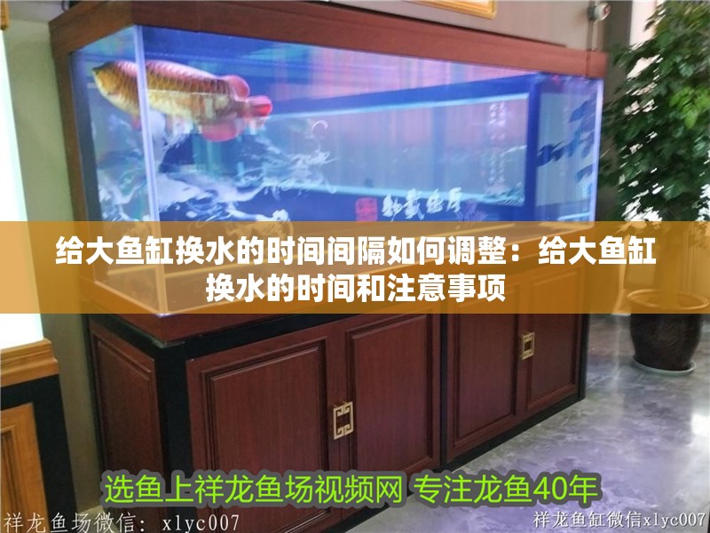 給大魚缸換水的時間間隔如何調整：給大魚缸換水的時間和注意事項