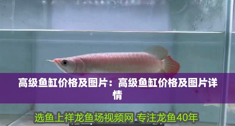 高級魚缸價格及圖片：高級魚缸價格及圖片詳情