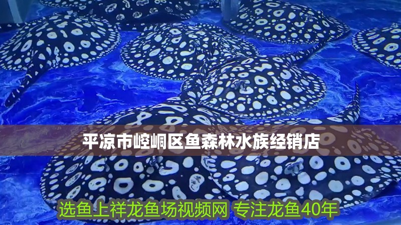 平?jīng)鍪嗅轻紖^(qū)魚森林水族經(jīng)銷店