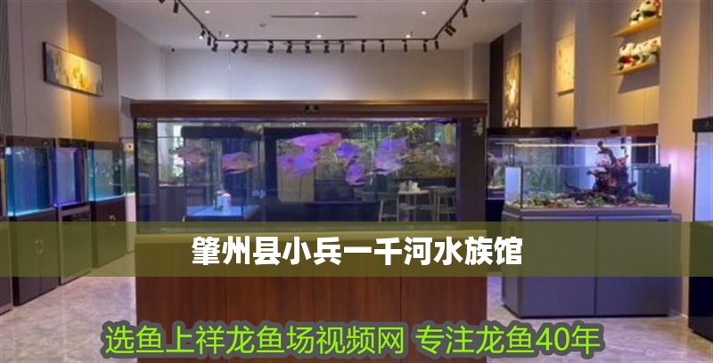 肇州縣小兵一千河水族館