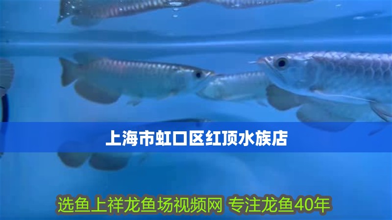 上海市虹口區(qū)紅頂水族店
