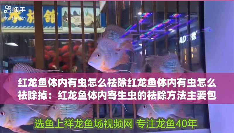 紅龍魚體內(nèi)有蟲怎么祛除紅龍魚體內(nèi)有蟲怎么祛除掉：紅龍魚體內(nèi)寄生蟲的祛除方法主要包括以下幾個(gè)步驟