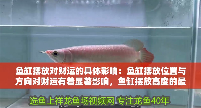 魚缸擺放對財運的具體影響：魚缸擺放位置與方向對財運有著顯著影響，魚缸擺放高度的最佳實踐