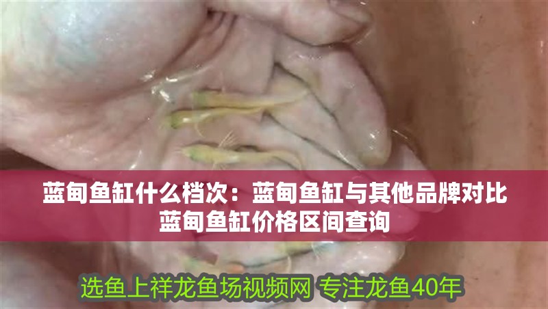 藍(lán)甸魚缸什么檔次：藍(lán)甸魚缸與其他品牌對比藍(lán)甸魚缸價(jià)格區(qū)間查詢