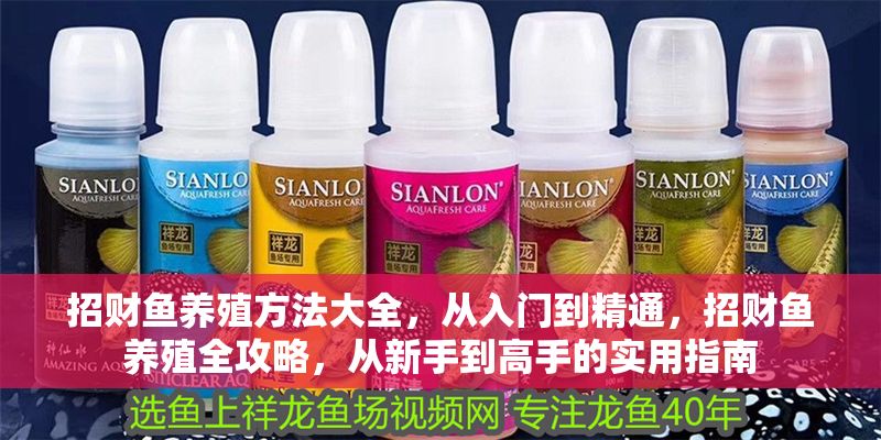 招財魚養殖方法大全,從入門到精通,招財魚養殖全攻略,從新手到高手的實用指南 龍魚百科 第1張 招財魚養殖方法大全,從入門到精通,招財魚養殖全攻略,從新手到高手的實用指南 招財魚養殖方法大全,從入門到精通,招財魚養殖全攻略,從新手到高手的實用指南 龍魚百科 第1張
