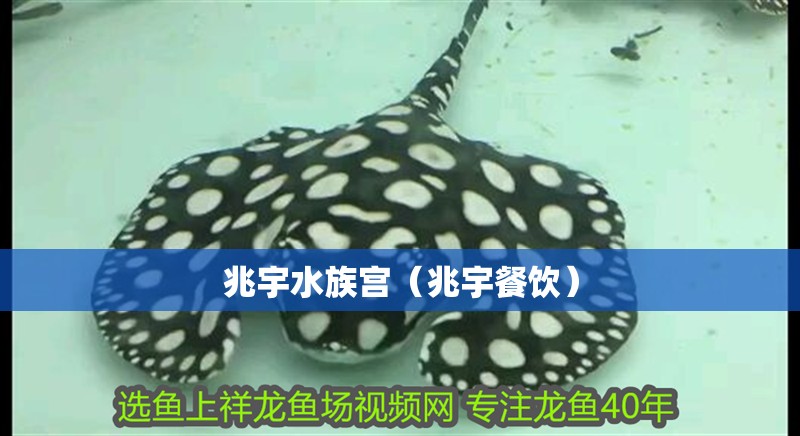 兆宇水族宮（兆宇餐飲）