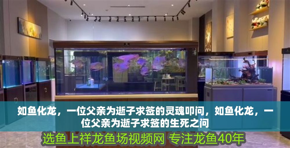 如魚化龍，一位父親為逝子求簽的靈魂叩問，如魚化龍，一位父親為逝子求簽的生死之問