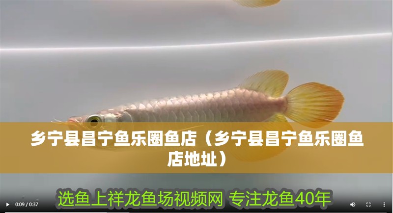 鄉寧縣昌寧魚樂圈魚店（鄉寧縣昌寧魚樂圈魚店地址）