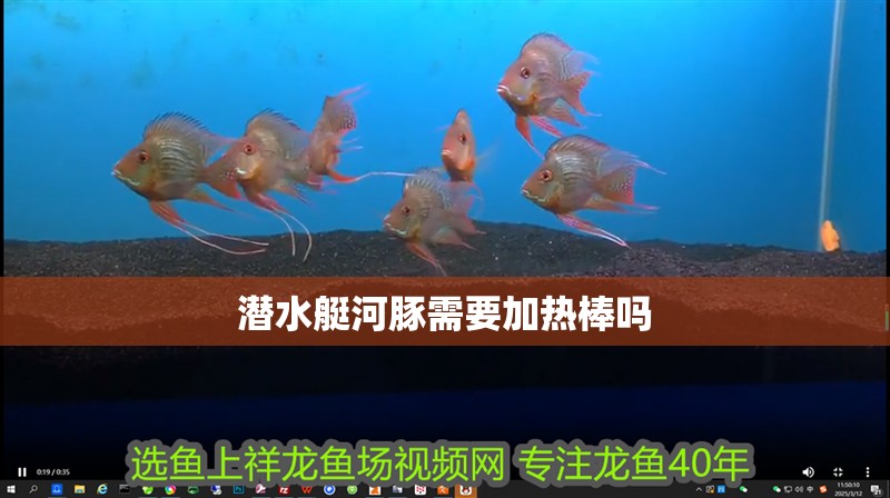 潛水艇河豚需要加熱棒嗎