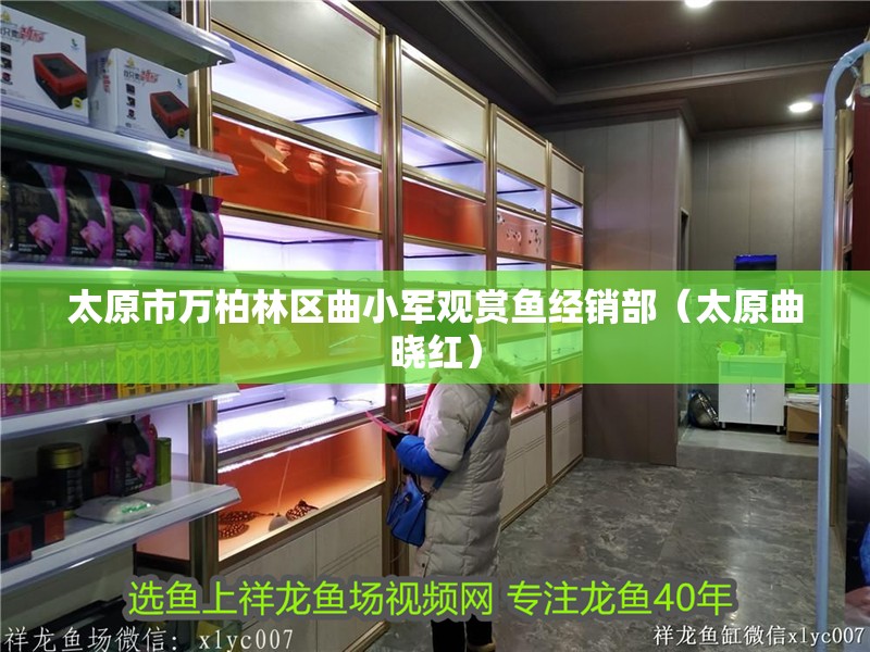 太原市萬柏林區曲小軍觀賞魚經銷部（太原曲曉紅）
