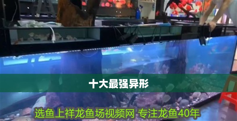 魚缸用增氧泵價格是多少:魚缸增氧機-xtrac增氧機-xtrac增氧機 十大最強異形 龍魚論壇 十大最強異形 十大最強異形 龍魚論壇