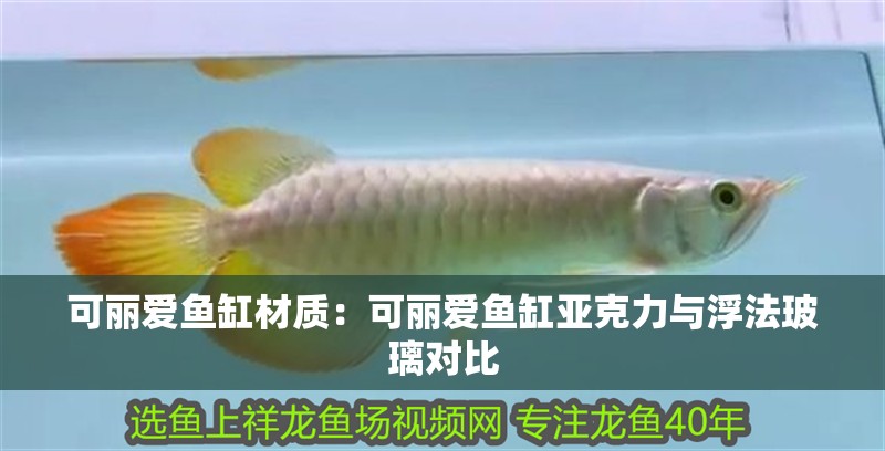 可麗愛魚缸材質：可麗愛魚缸亞克力與浮法玻璃對比