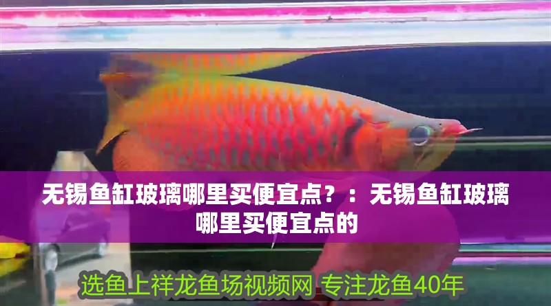 無錫魚缸玻璃哪里買便宜點？：無錫魚缸玻璃哪里買便宜點的