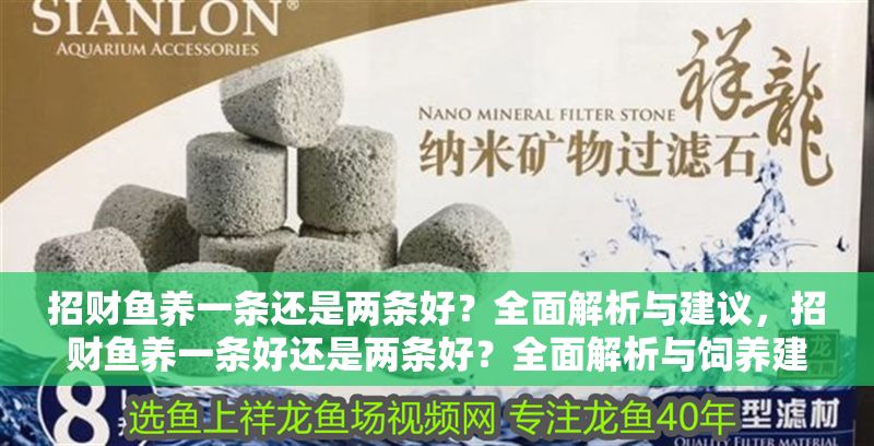 招財魚養一條還是兩條好？全面解析與建議，招財魚養一條好還是兩條好？全面解析與飼養建議