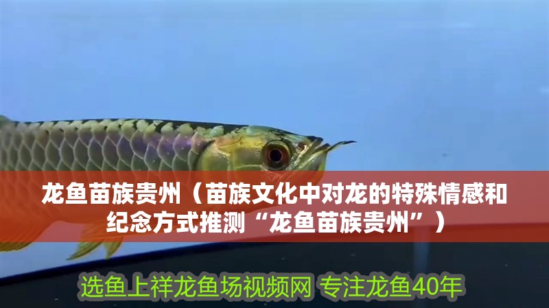 龍魚苗族貴州（苗族文化中對龍的特殊情感和紀念方式推測“龍魚苗族貴州”）