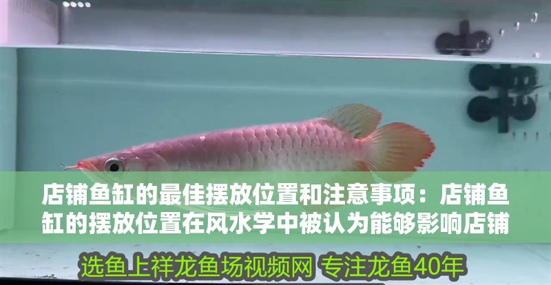 店鋪魚缸的最佳擺放位置和注意事項：店鋪魚缸的擺放位置在風水學中被認為能夠影響店鋪的財運和整體氛圍 店鋪魚缸的最佳擺放位置和注意事項：店鋪魚缸的擺放位置在風水學中被認為能夠影響店鋪的財運和整體氛圍 魚缸百科