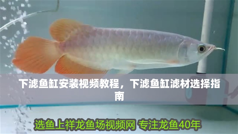 魚缸過濾器選購指南:自制魚缸過濾器魚缸上置過濾器對于養(yǎng)魚愛好者的必備知識 下濾魚缸安裝視頻教程,下濾魚缸濾材選擇指南 魚缸百科 下濾魚缸安裝視頻教程,下濾魚缸濾材選擇指南 下濾魚缸安裝視頻教程,下濾魚缸濾材選擇指南 魚缸百科