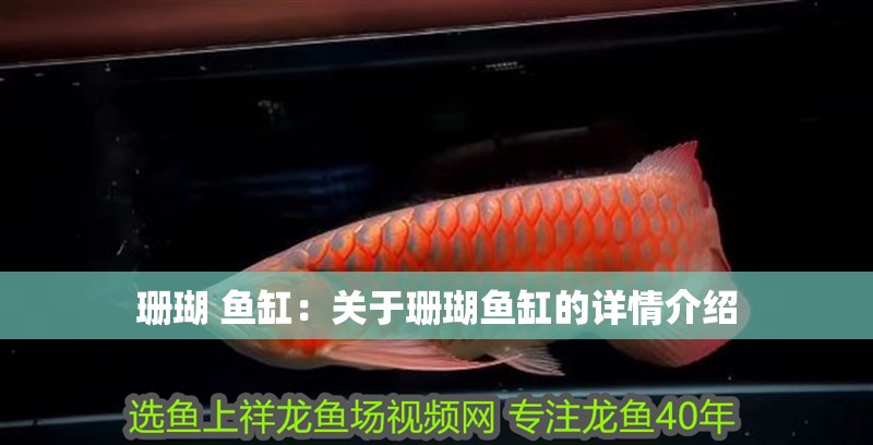 珊瑚 魚缸：關于珊瑚魚缸的詳情介紹 珊瑚 魚缸：關于珊瑚魚缸的詳情介紹 魚缸百科
