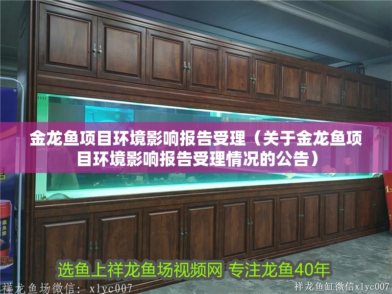 金龍魚項目環(huán)境影響報告受理（關于金龍魚項目環(huán)境影響報告受理情況的公告）