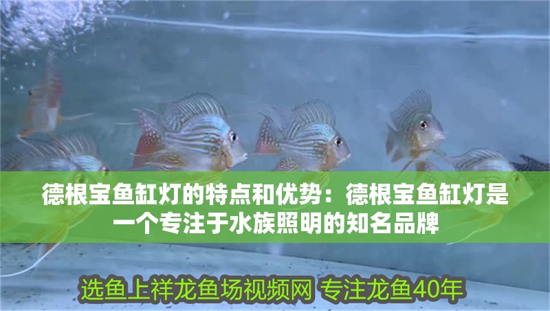 德根寶魚缸燈的特點和優勢：德根寶魚缸燈是一個專注于水族照明的知名品牌