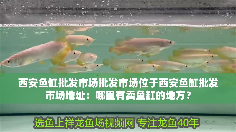 西安魚缸批發市場批發市場位于西安魚缸批發市場地址：哪里有賣魚缸的地方？